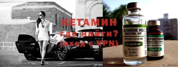 индика Богданович