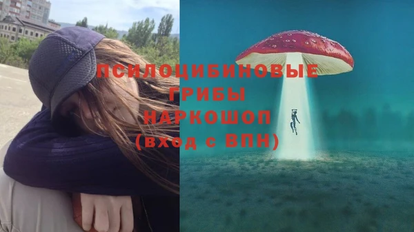 индика Богданович