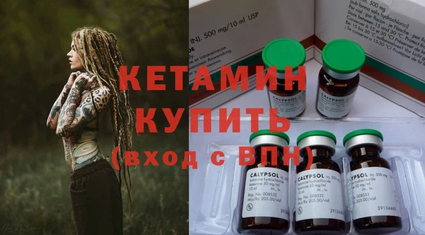индика Богданович