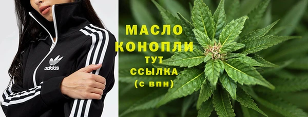 индика Богданович