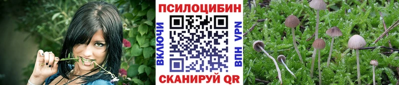 Псилоцибиновые грибы Psilocybine cubensis  Большой Камень 